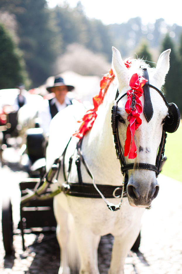 san-luis-obispo-holland-ranch-wedding