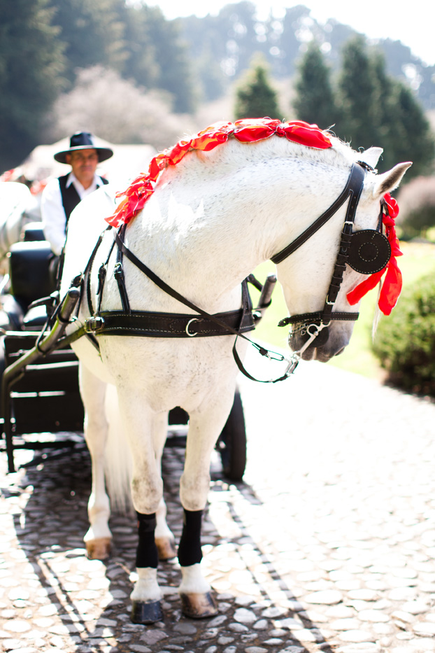 san-luis-obispo-holland-ranch-wedding