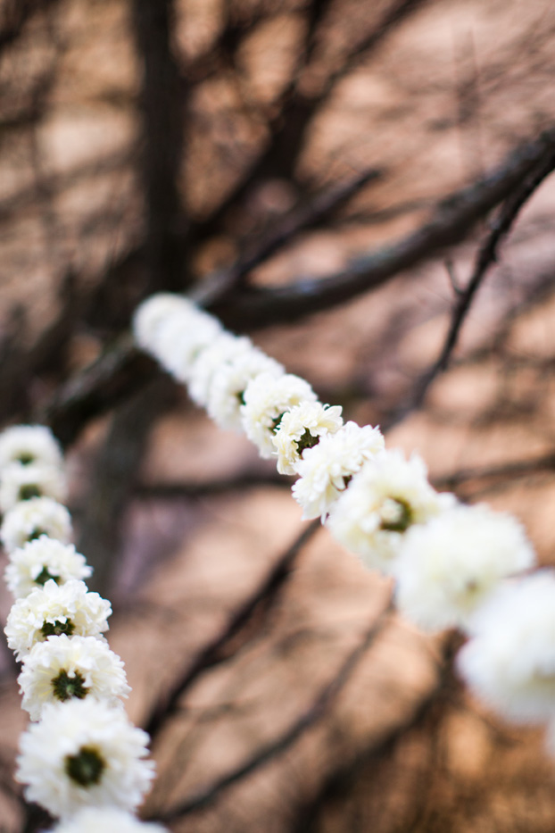 san-luis-obispo-holland-ranch-wedding