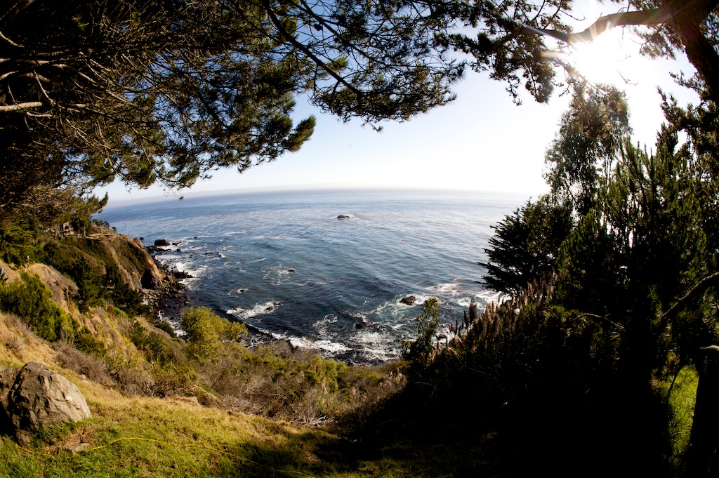 big-sur-wedding