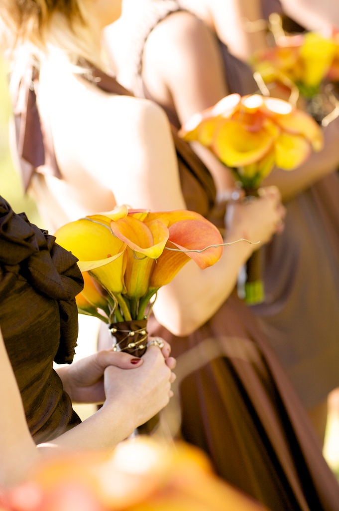 big-sur-wedding