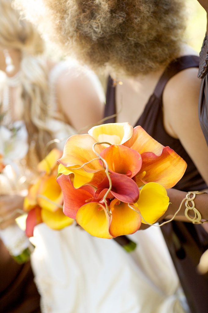 big-sur-wedding