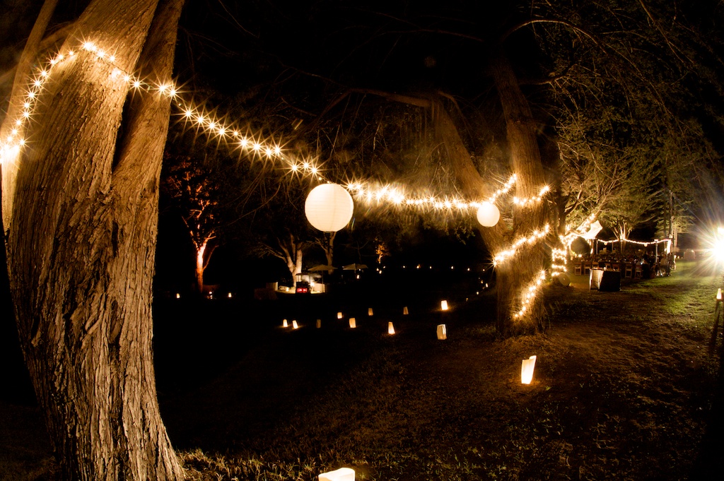 big-sur-wedding