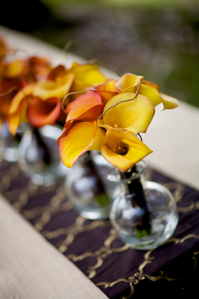 big-sur-wedding