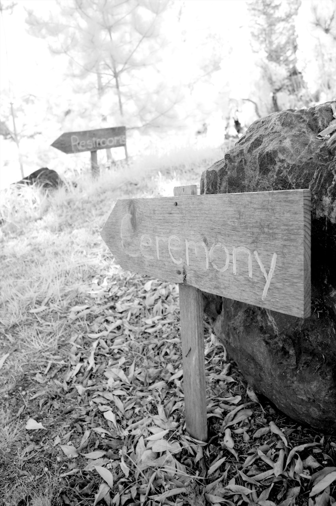 big-sur-wedding