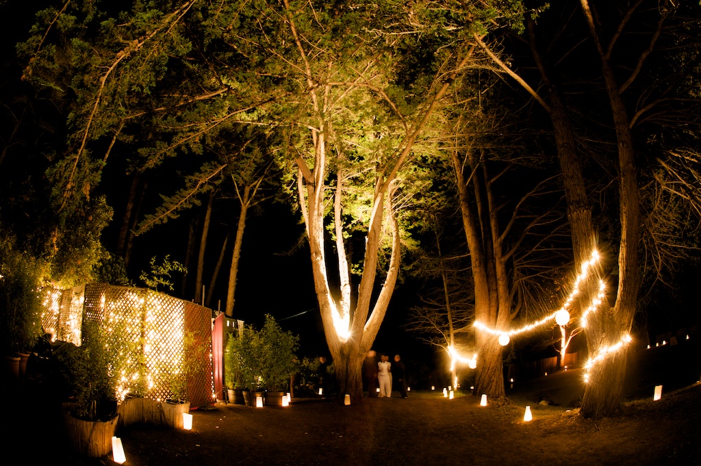 big-sur-wedding