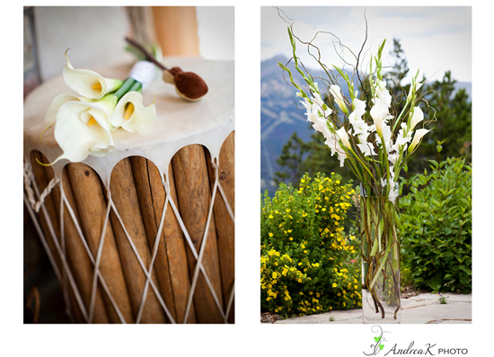 Breckenridge, Colorado Wedding - On Top of the Mountain