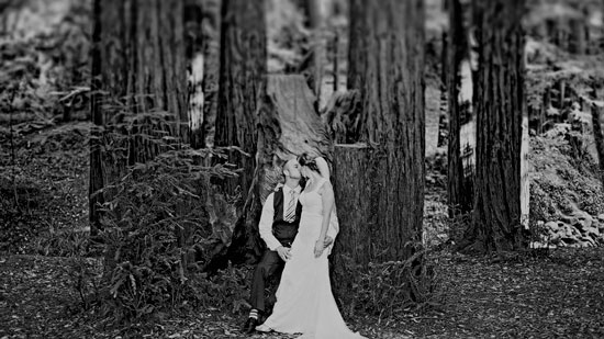 budget-friendly-canada-wedding