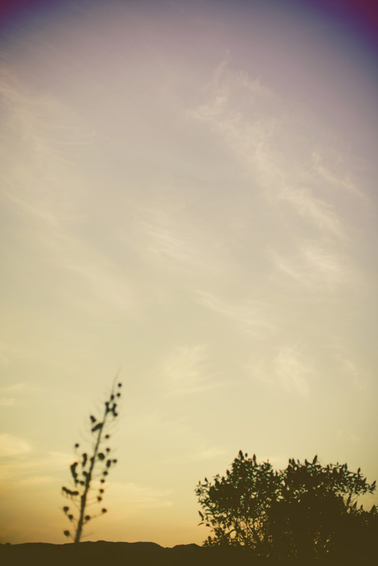 camping-engagement-shoot