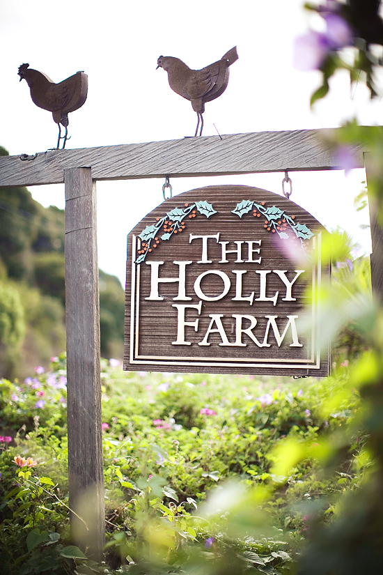 carmel-valley-wedding-by-alicia