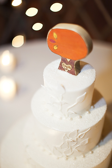 carmel-valley-wedding-by-alicia