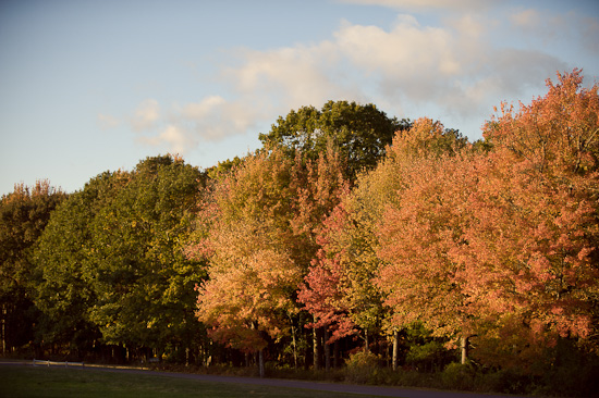 classic-maine-farmhouse-wedding-by