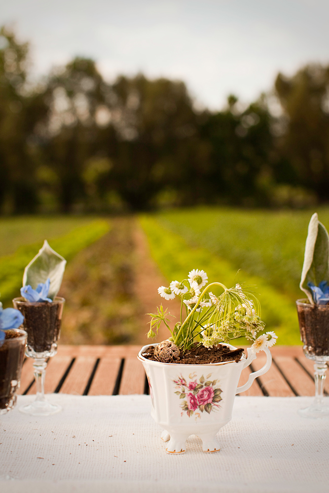country-wedding-inspiration