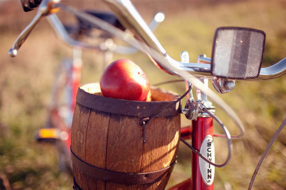 fall-tandem-bike-engagement-session