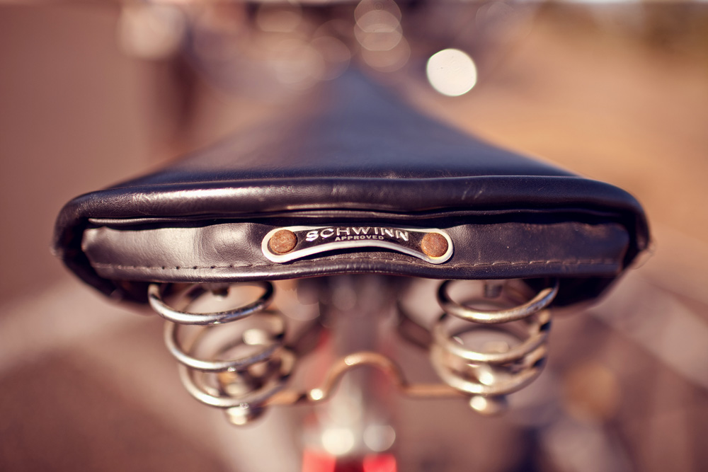 fall-tandem-bike-engagement-session