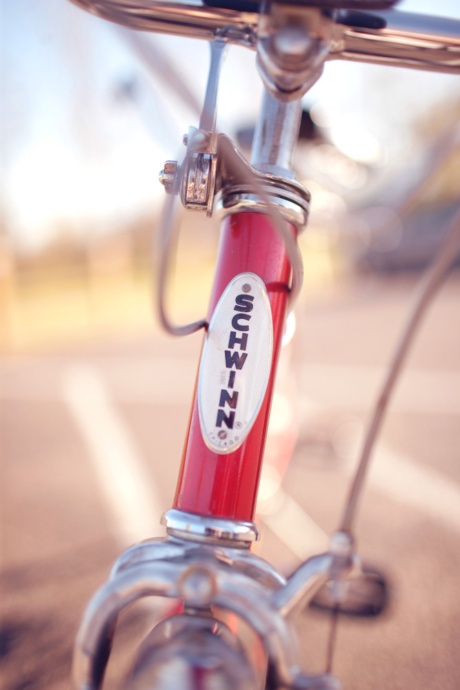 fall-tandem-bike-engagement-session