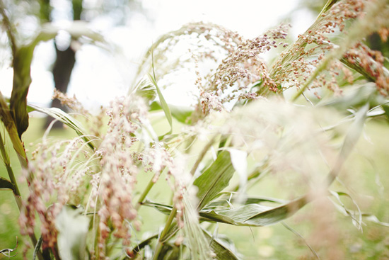 fall-wedding-by-geneoh-photography