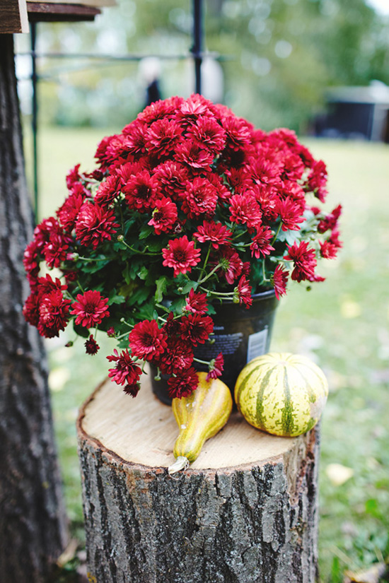 fall-wedding-by-geneoh-photography