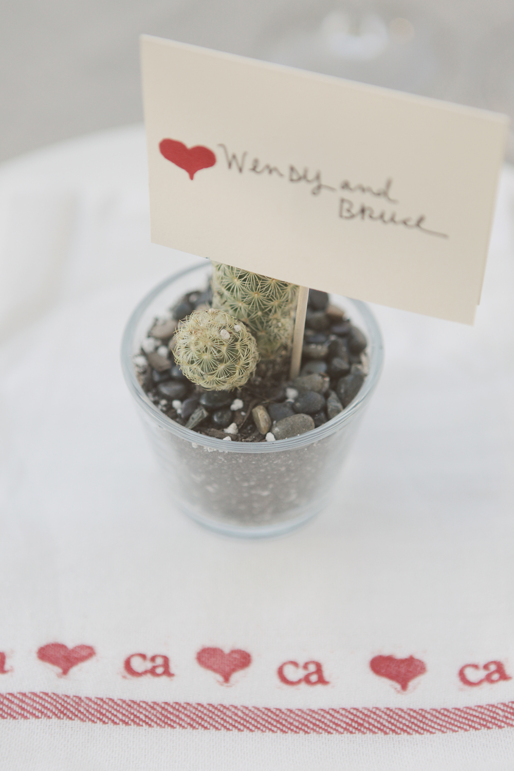 handmade-california-ranch-wedding