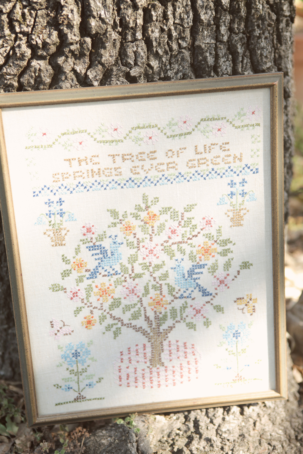 handmade-california-ranch-wedding