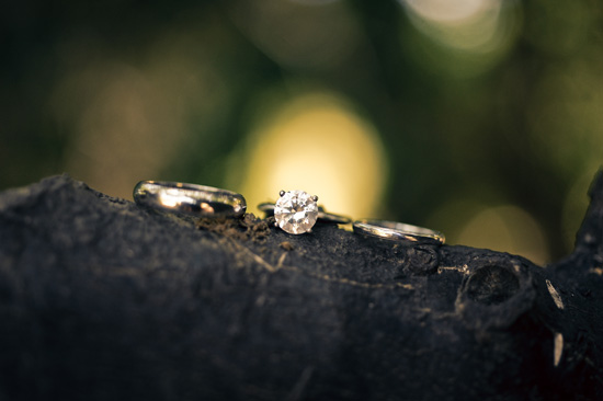 orcutt-ranch-wedding-with-diy-details