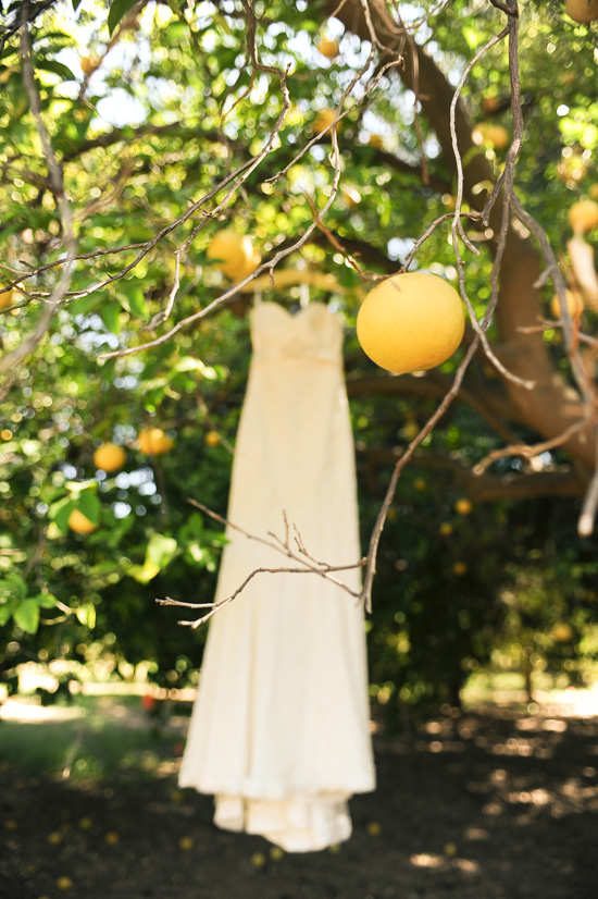 orcutt-ranch-wedding-with-diy-details