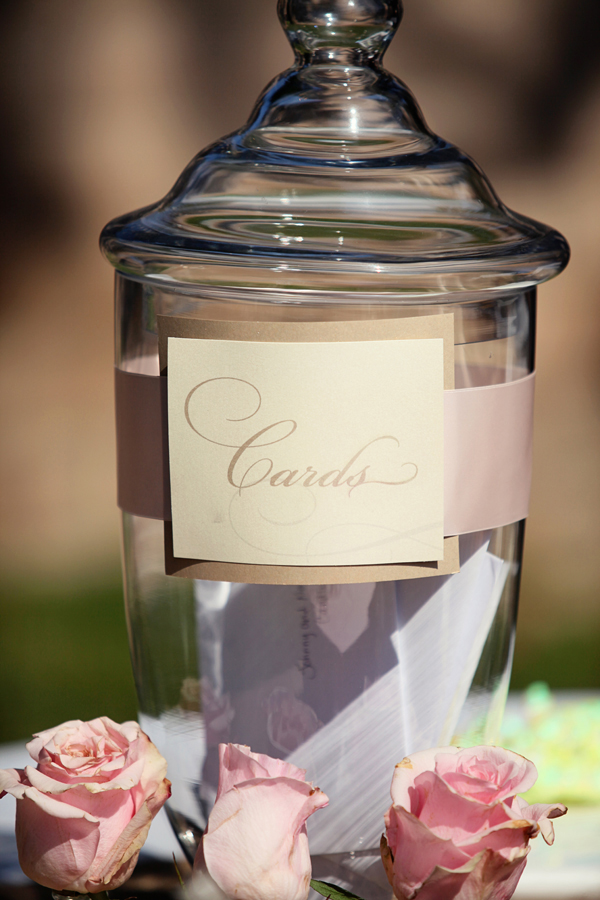 pink-and-chocolate-brown-wedding-ideas