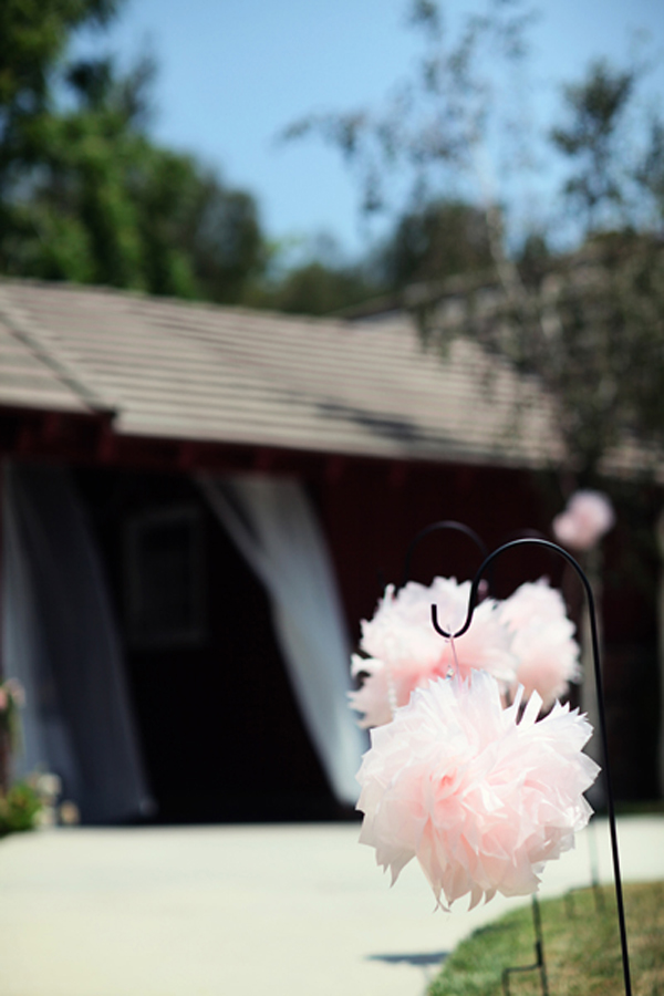 pink-and-chocolate-brown-wedding-ideas