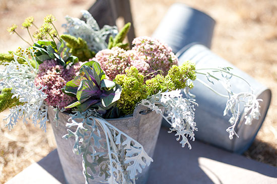 rustic-petaluma-farm-wedding
