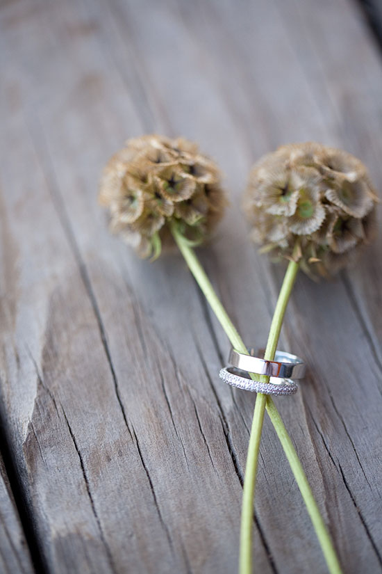 rustic-petaluma-farm-wedding