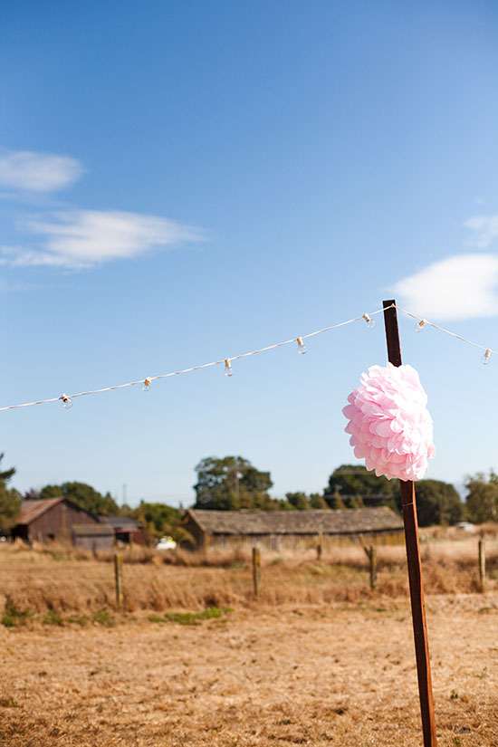 rustic-petaluma-farm-wedding