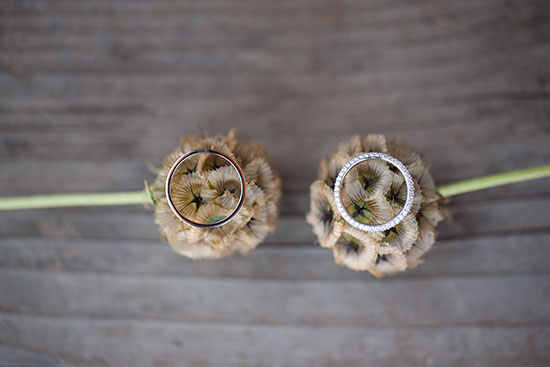 rustic-petaluma-farm-wedding