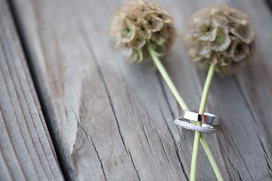 rustic-petaluma-farm-wedding