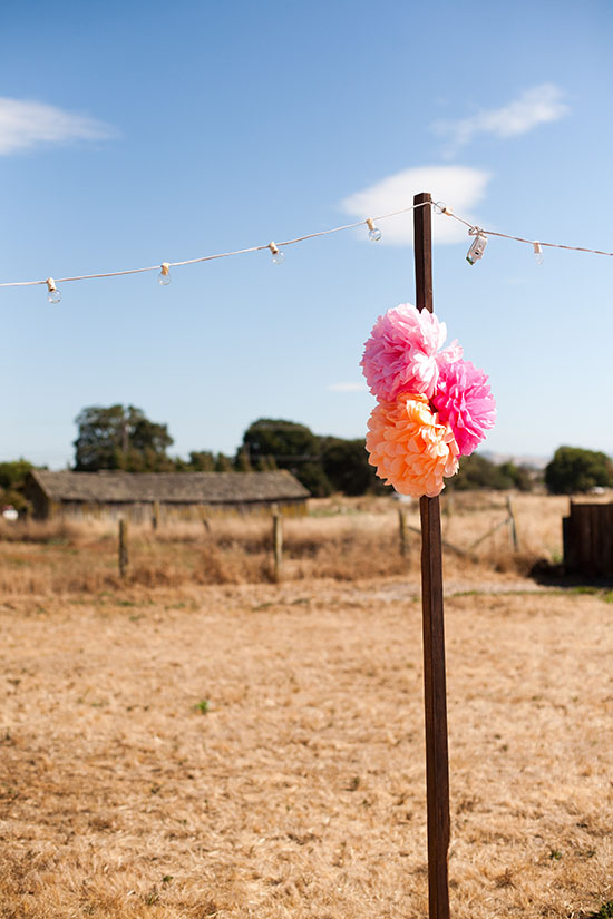 rustic-petaluma-farm-wedding