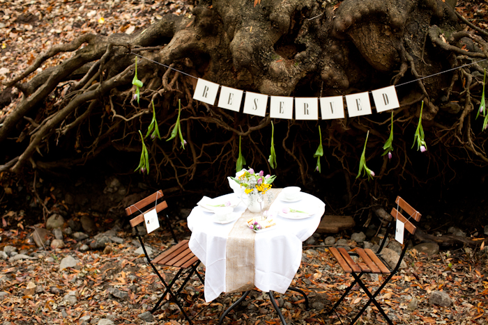save-the-date-proposal-film