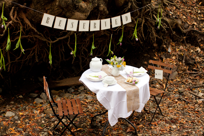 save-the-date-proposal-film