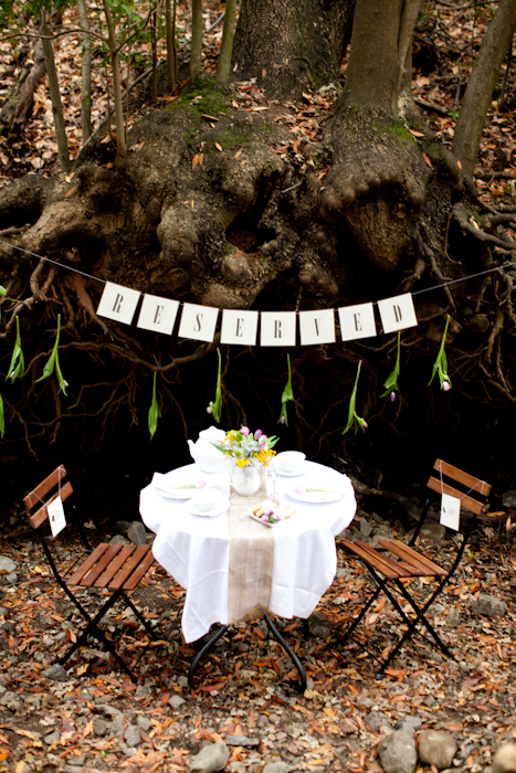 save-the-date-proposal-film