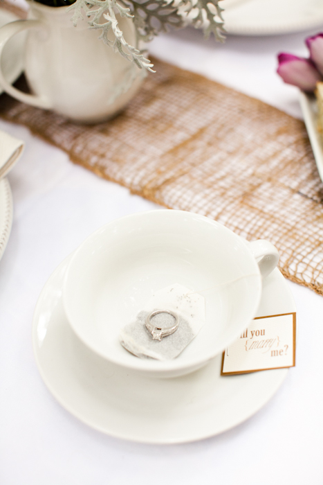 save-the-date-proposal-film
