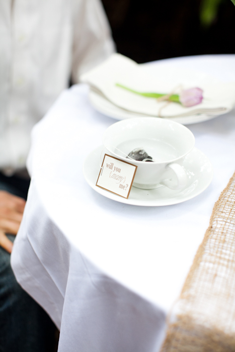 save-the-date-proposal-film