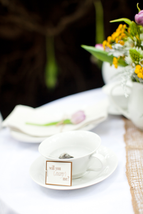 save-the-date-proposal-film