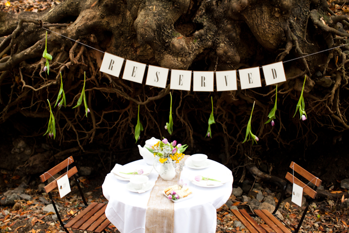 save-the-date-proposal-film