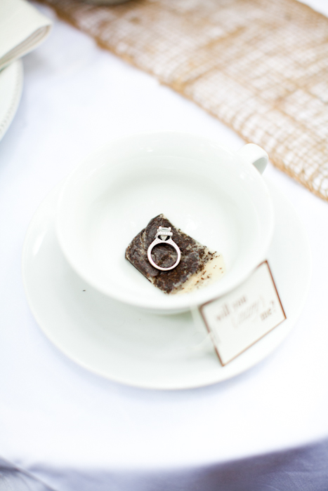 save-the-date-proposal-film