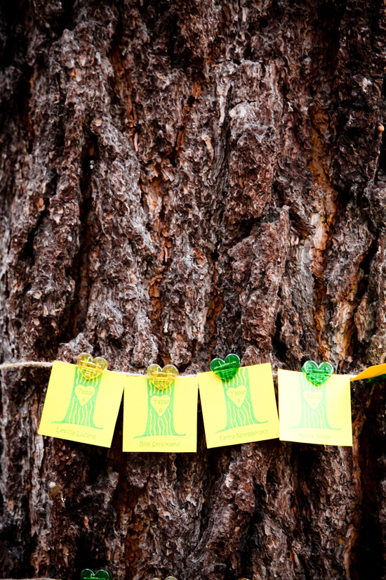 sunshine-yellow-wedding-in-lake-tahoe