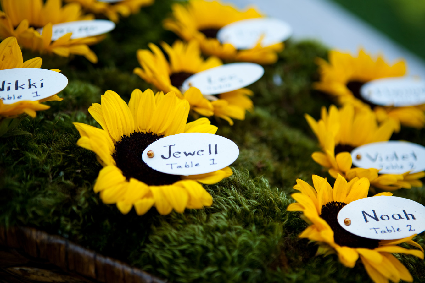 wedding-bouquet-inspiration
