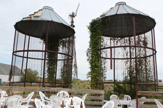 woodsy-and-natural-wedding