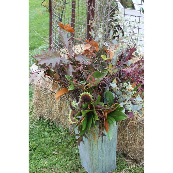 woodsy-and-natural-wedding