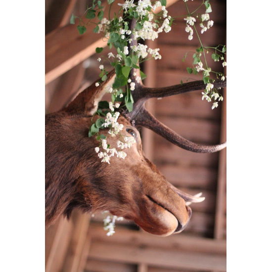 woodsy-and-natural-wedding