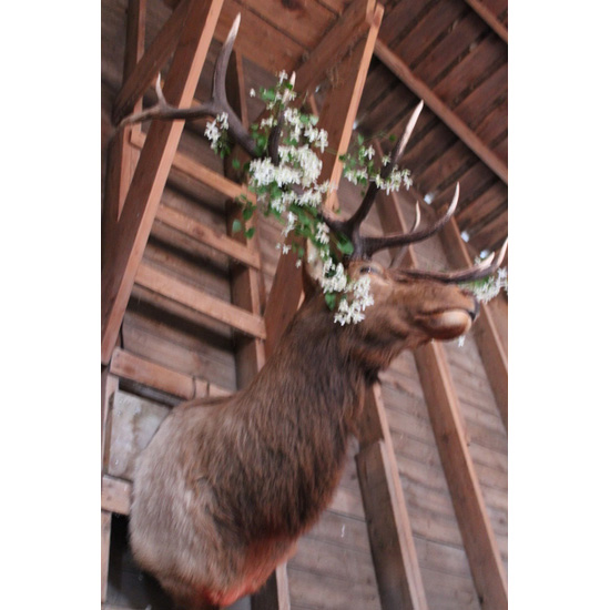 woodsy-and-natural-wedding