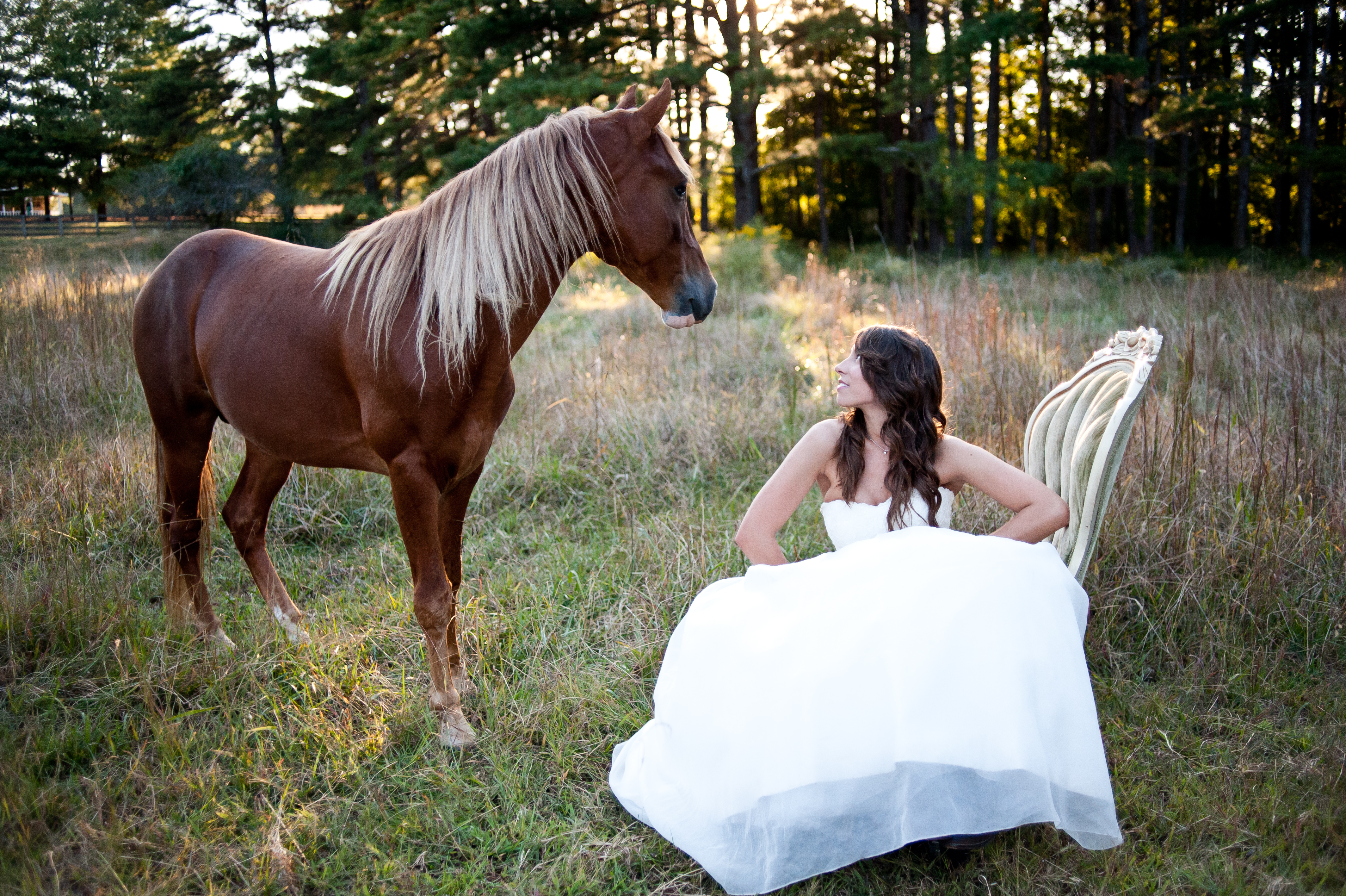 woodsy-bridal-session