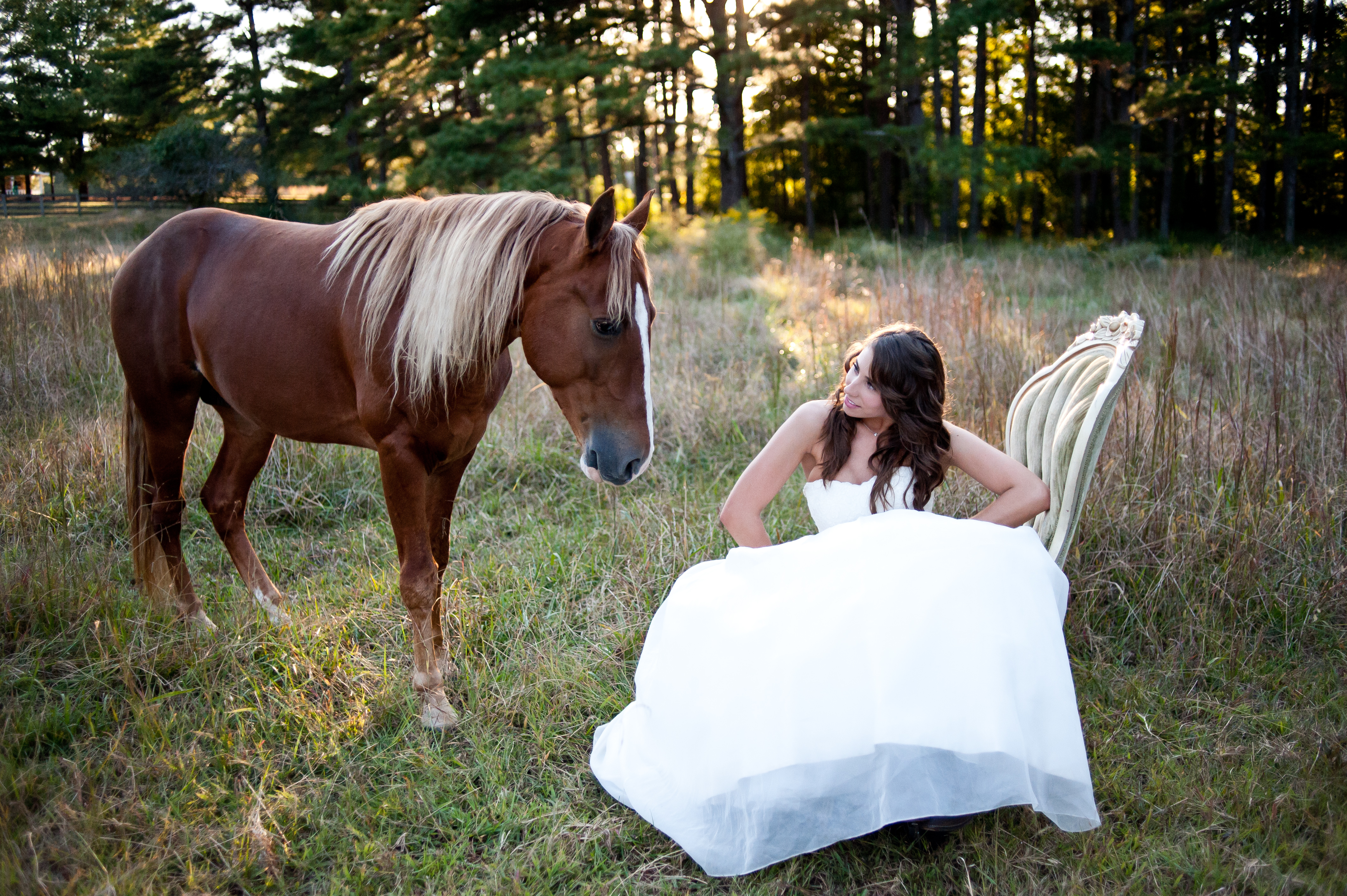 woodsy-bridal-session